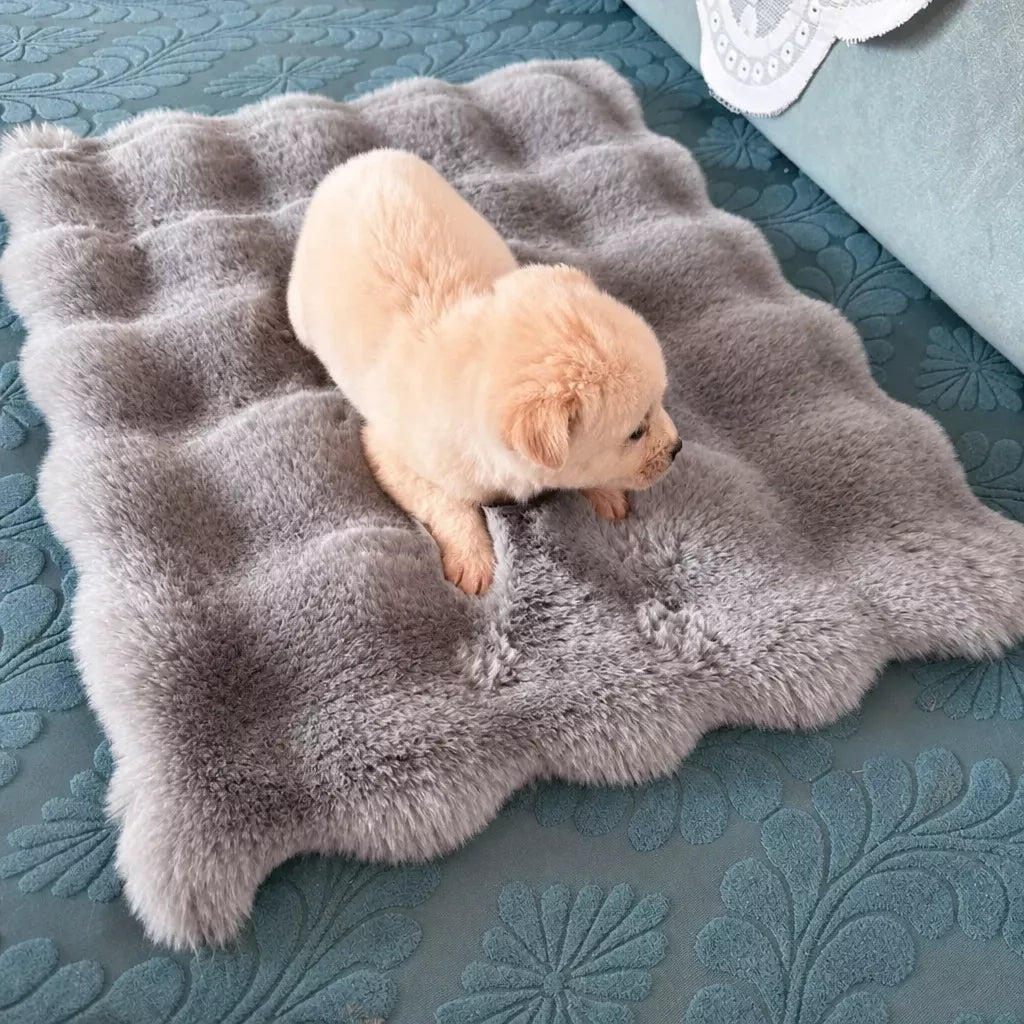 Pet Bed Mat for Cats, Dogs and Rabbits