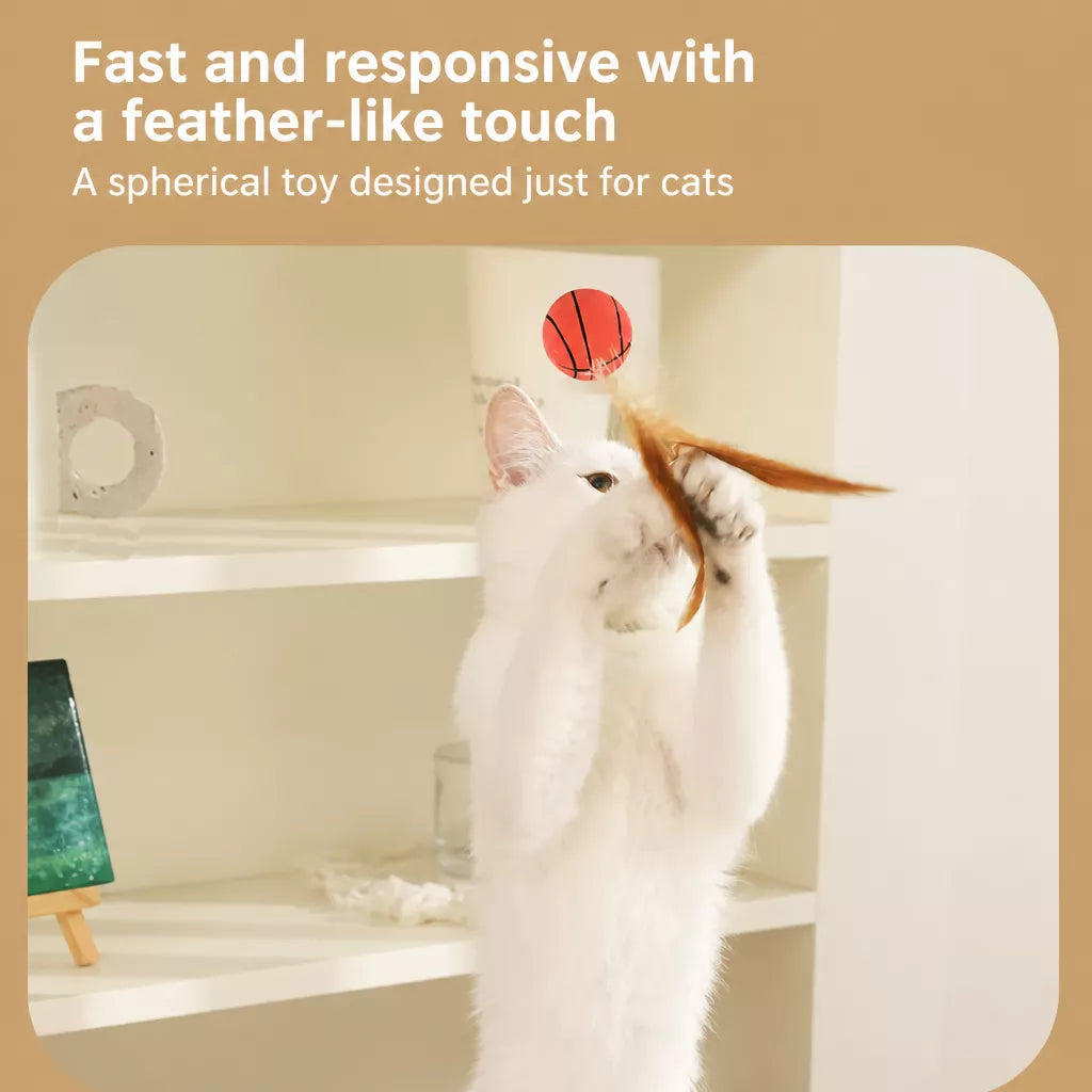 Cat Feather Ball Toy