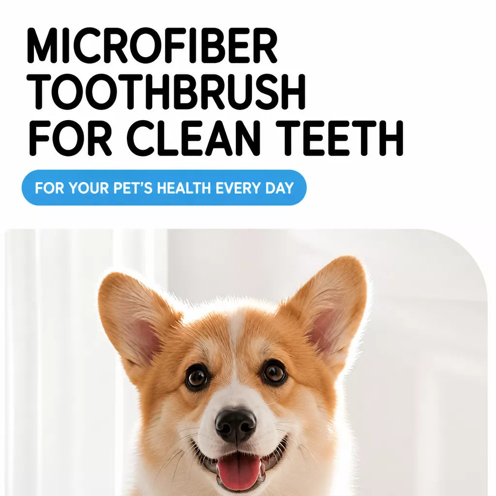 Squeaky Chew Toy for Small and Medium Dogs