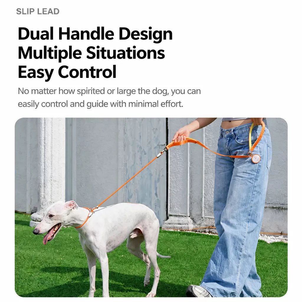 Integrated Slip Lead Dog Leash with Close-Control Handle
