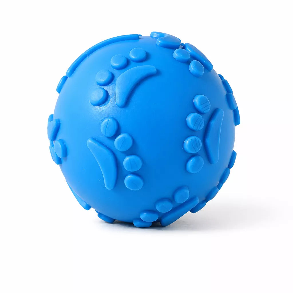 TPR Paw Print Squeaky Ball Dog Toy for Interactive Play
