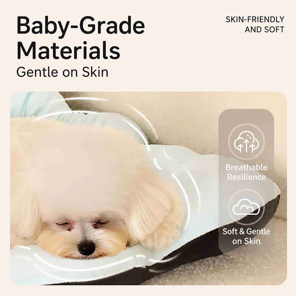 Removable Washable Pet Bed for Dogs and Cats