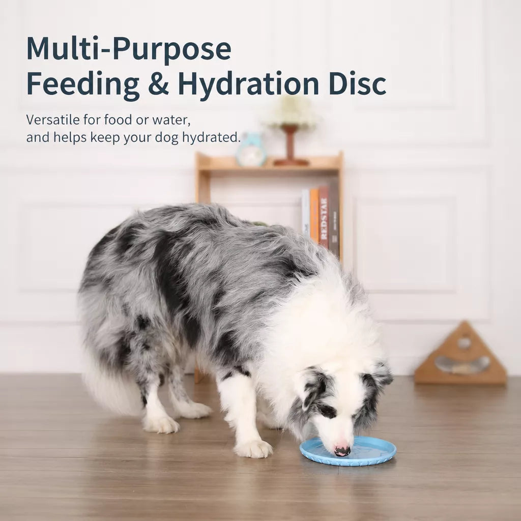 Soft Resin Dog Frisbee for Outdoor Play & Training