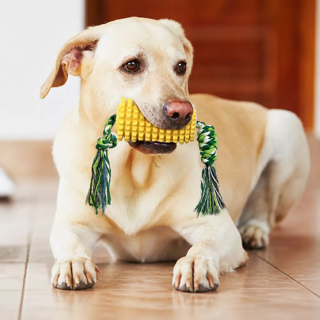 Corn-Shaped TPR Dog Chew Toy with Optional Squeaker