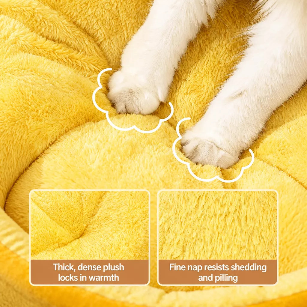 Enclosed Pet Car Carrier for Cats and Small Dogs