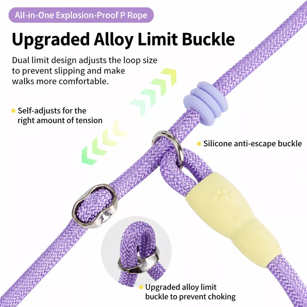 Nylon Slip Lead Dog Leash with Comfort Grip for Training