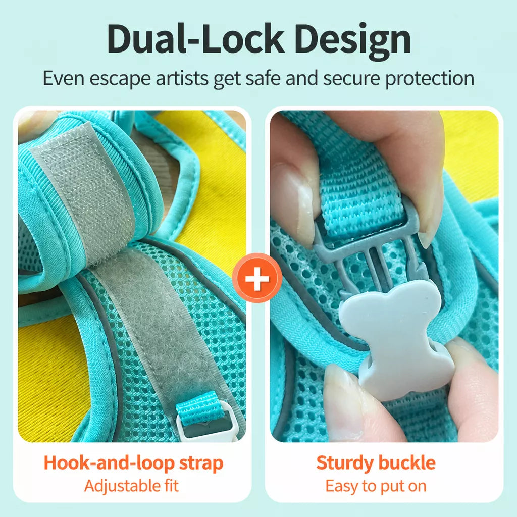 Nylon Vest Harness and Leash for Small Dogs
