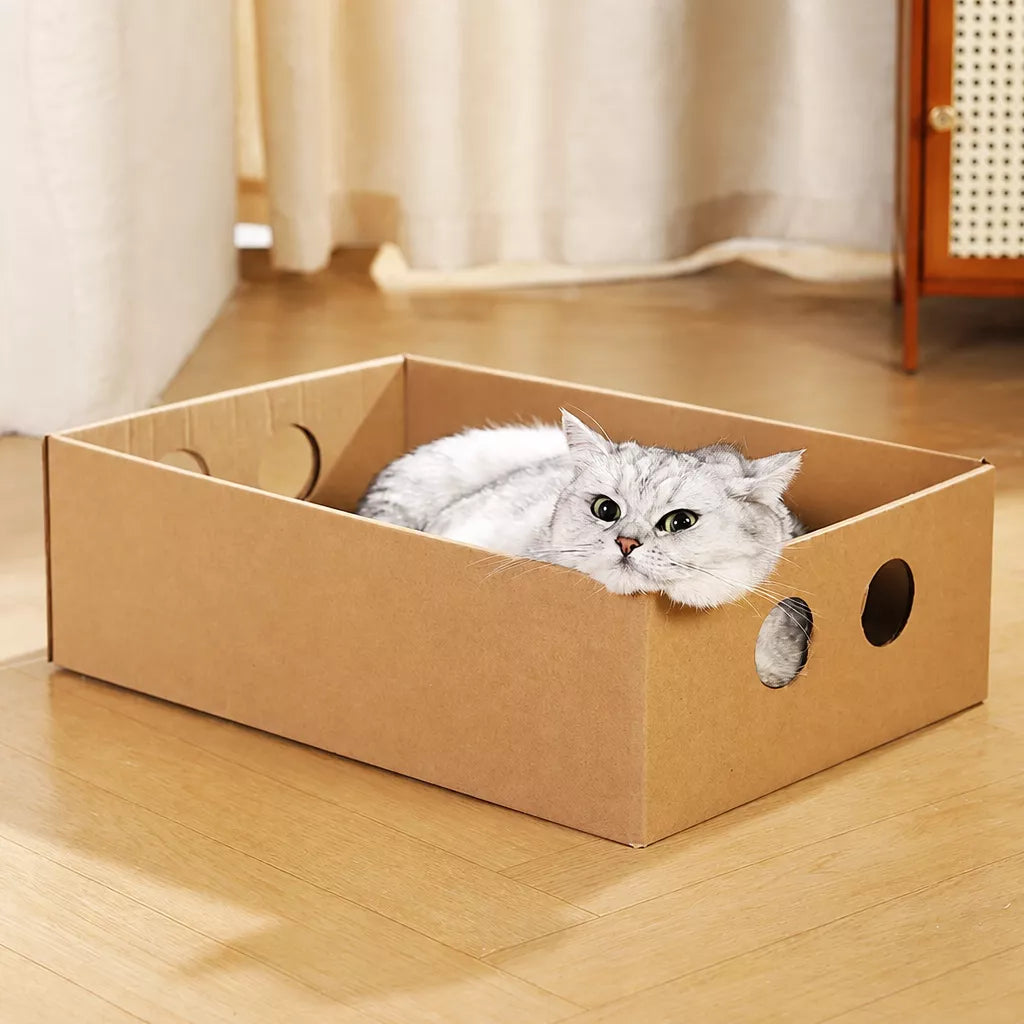 Corrugated Cardboard Cat House with Integrated Scratcher