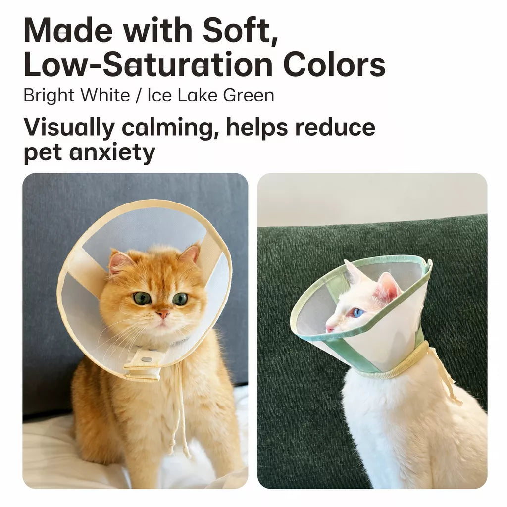 Lightweight Plastic Recovery Cone for Dogs and Cats