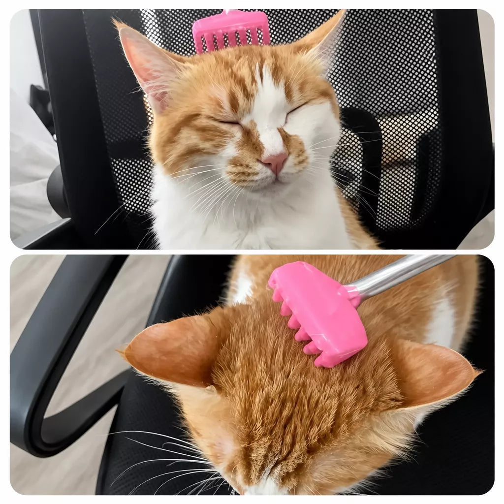 Extendable Pet Scratcher Wand