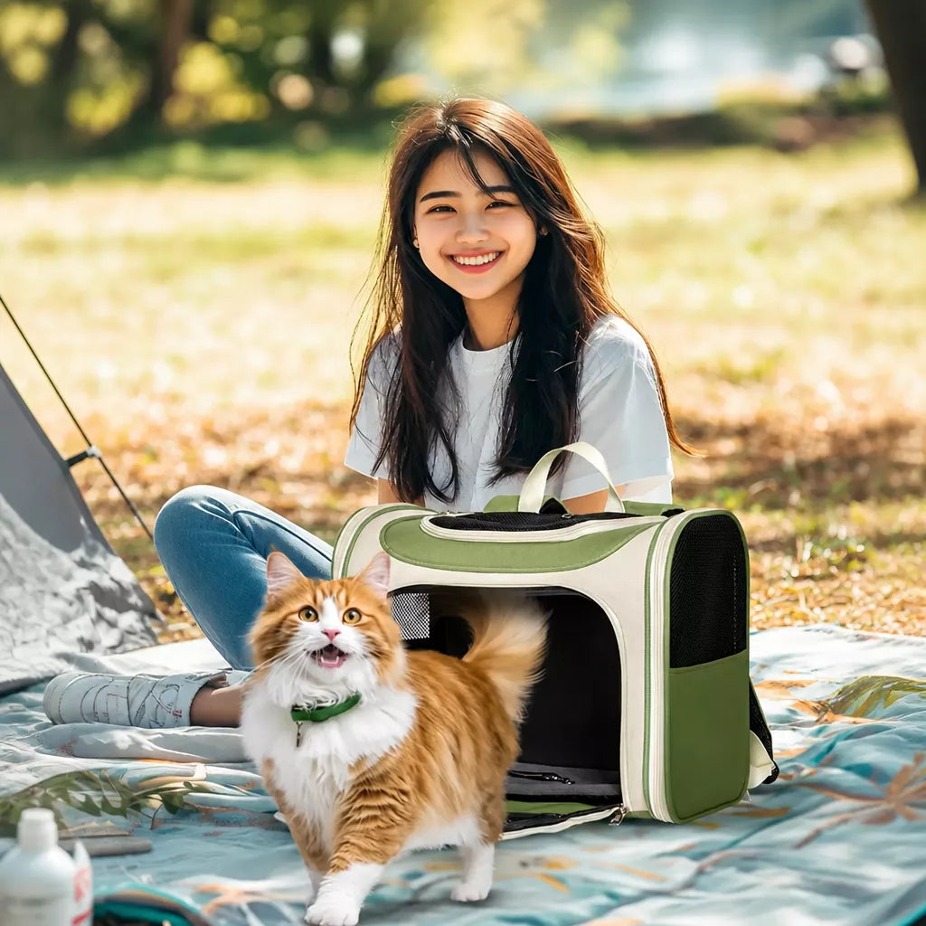 Portable Canvas Cat Carrier