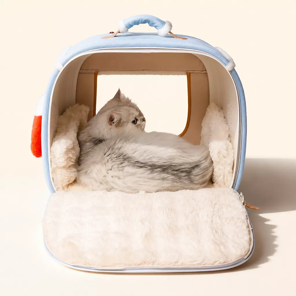 Pet Bed with Removable Washable Cover for Cats and Dogs