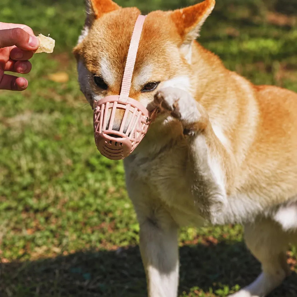 Breathable Mesh Dog Muzzle