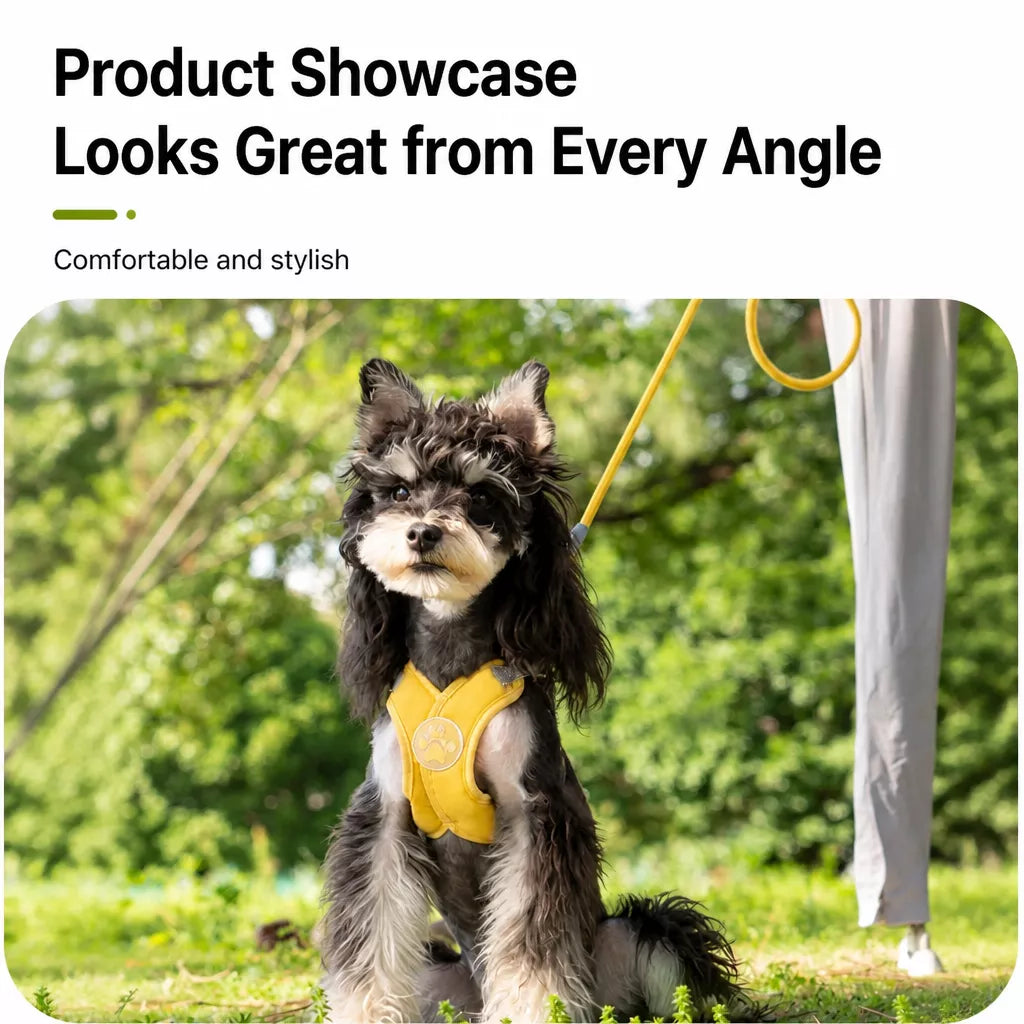X-Style Pet Harness and Leash