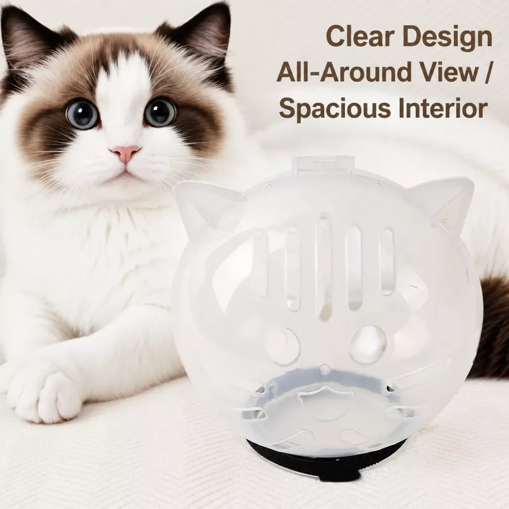 Clear Plastic Cat Elizabethan Collar