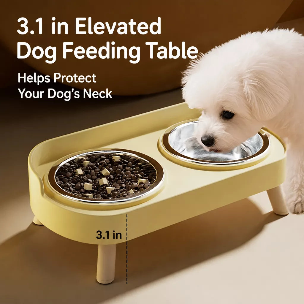 Double Dog Bowl Stand with Stainless Steel Bowls
