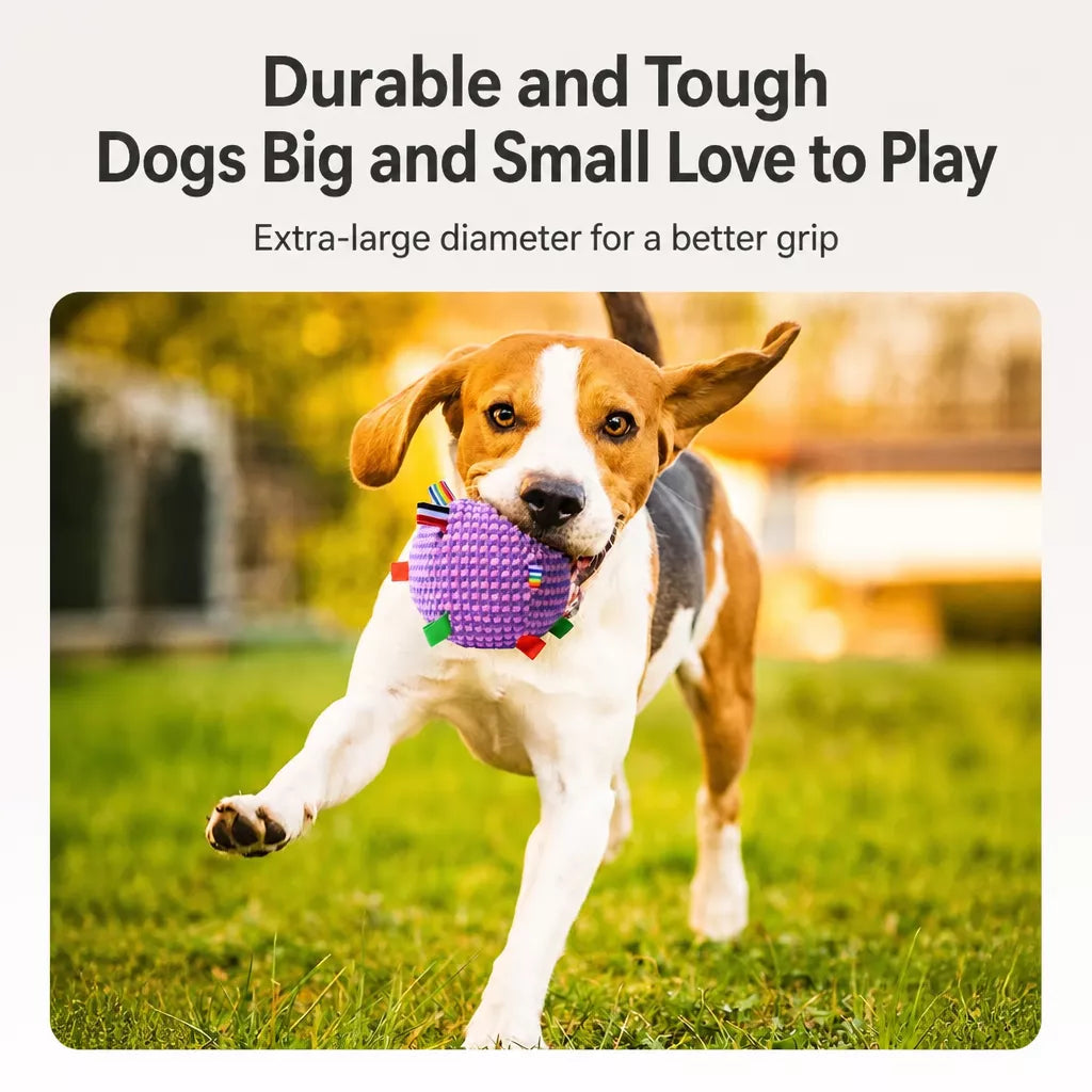 Squeaky Plush Ball Dog Toy