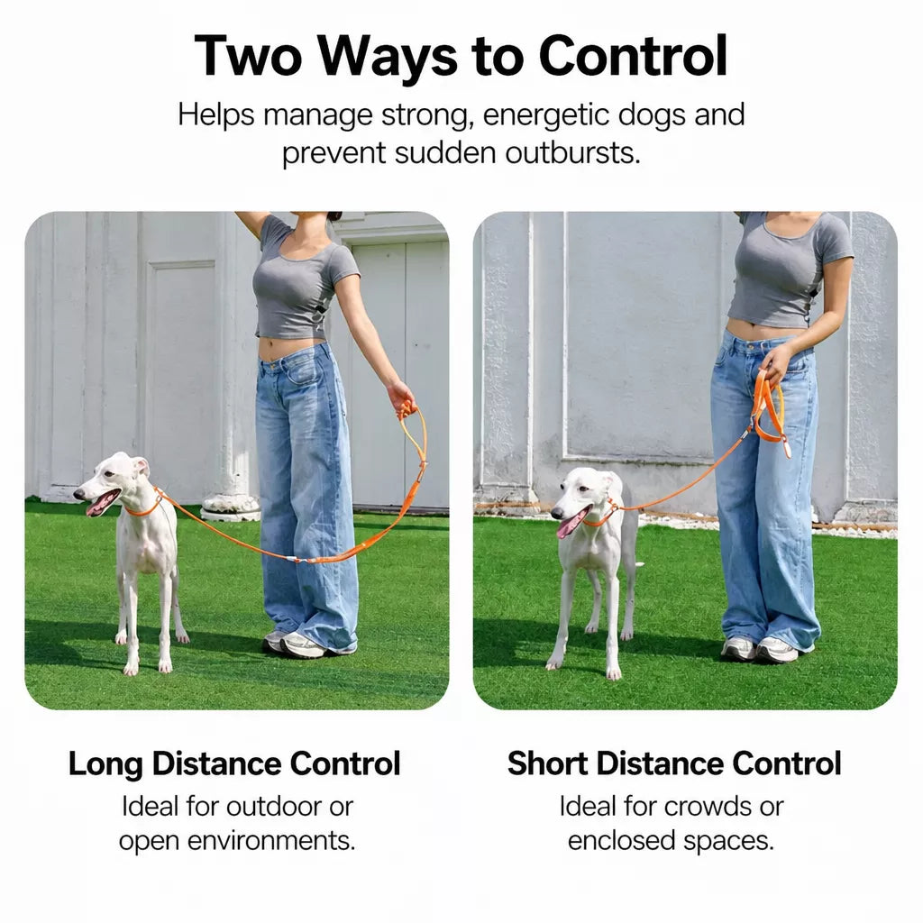 Integrated Slip Lead Dog Leash with Close-Control Handle