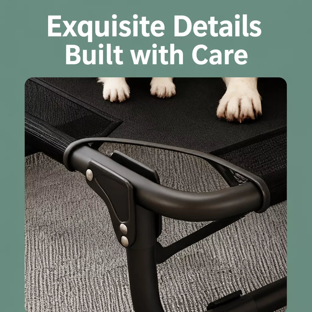 Elevated Foldable Mesh Dog Bed