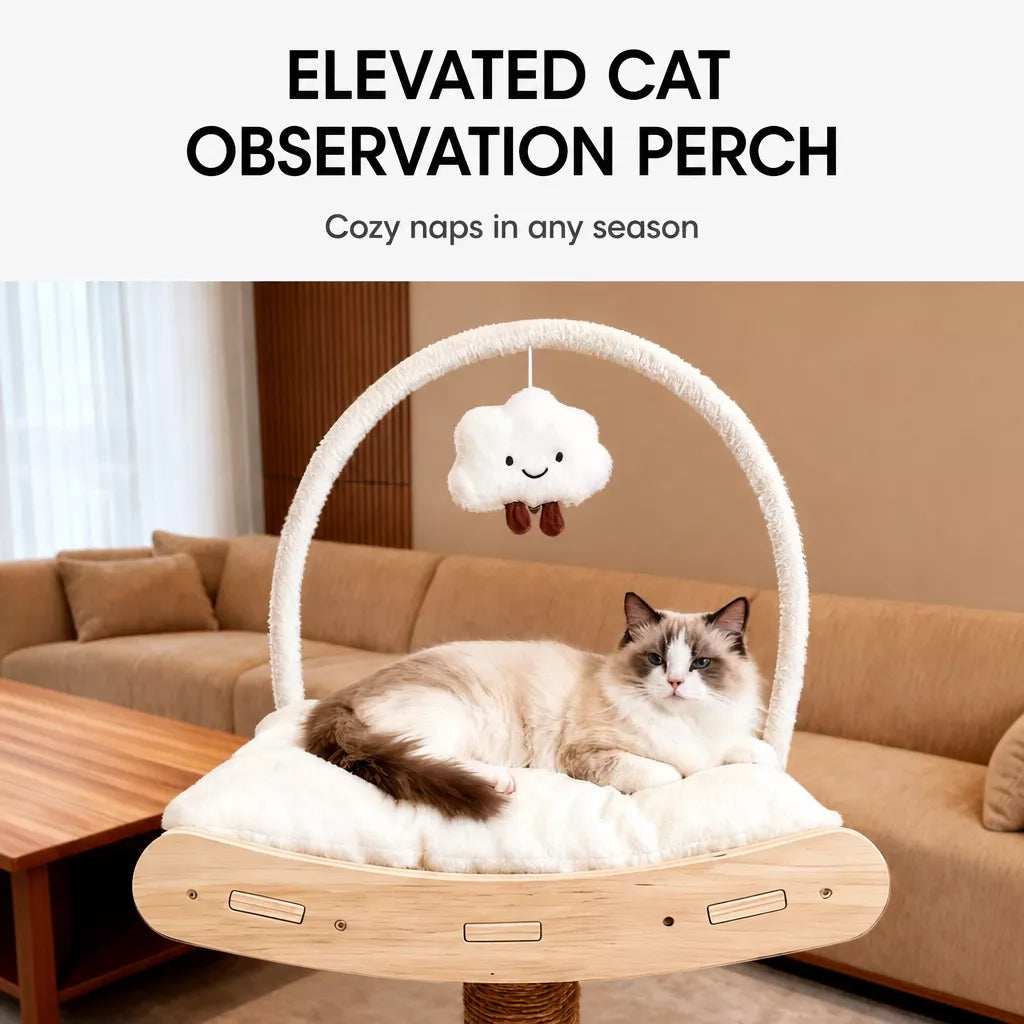Cat Tree with Enclosed Cat House and Scratching Post