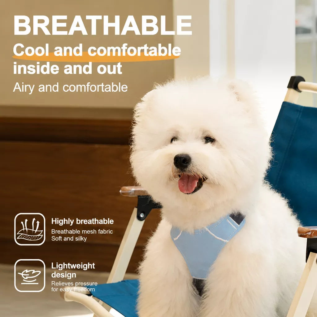 Vest-Style Dog Harness with Leash for Small to Medium Dogs