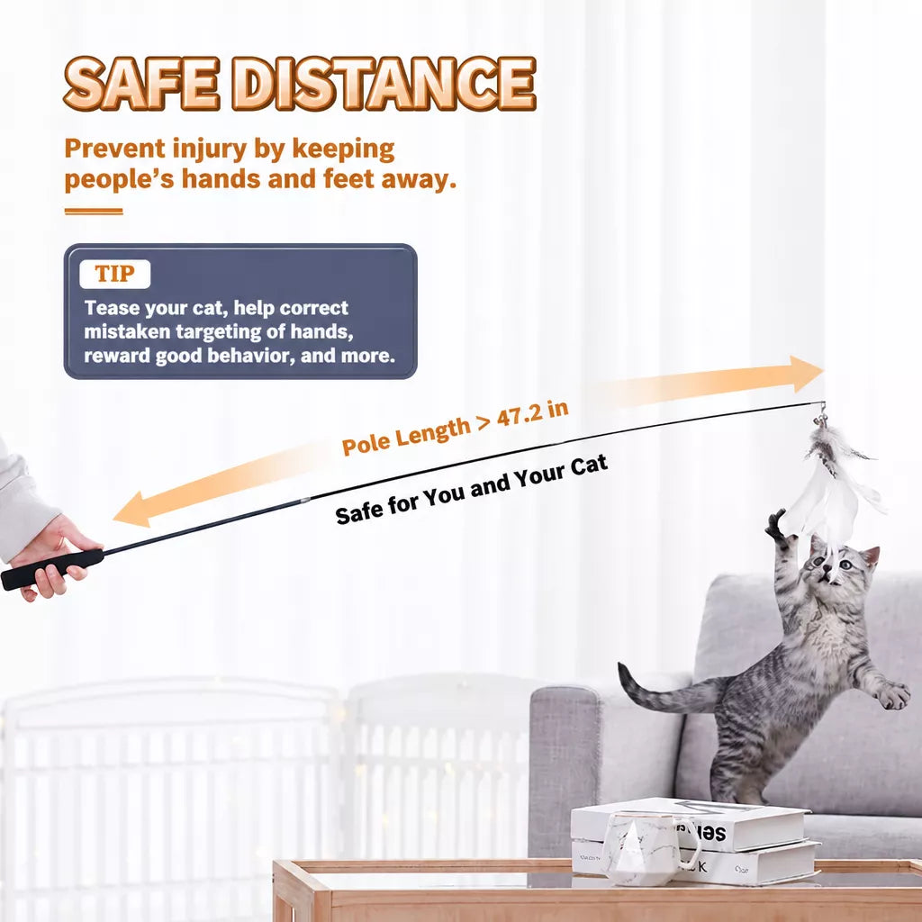 Cat Teaser Wand with Feather Replacement Toy Heads