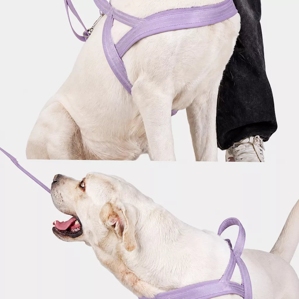 Nylon Dog Harness with Collar and Leash Set Options