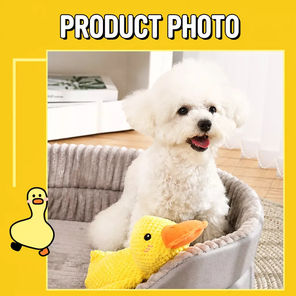 Plush Squeaky Dog Toy