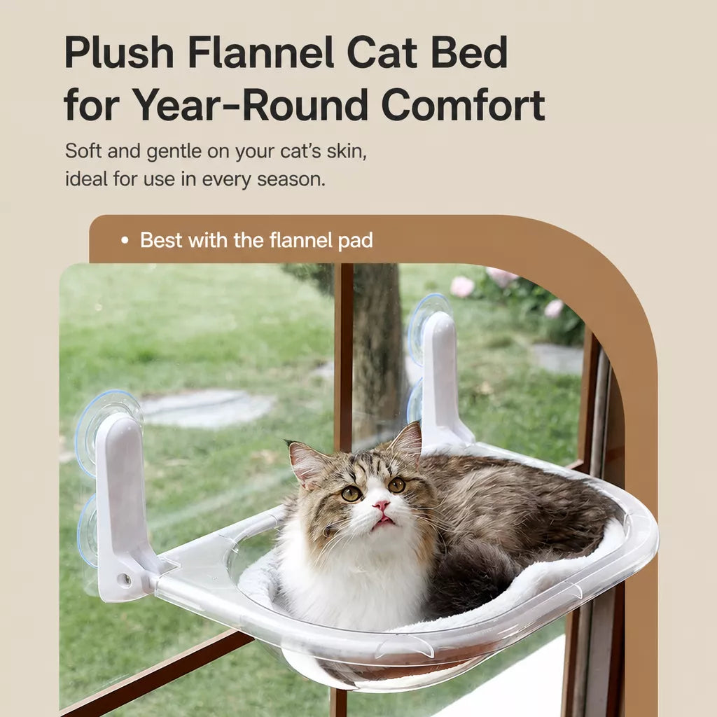 Foldable Transparent Cat Window Capsule Hammock