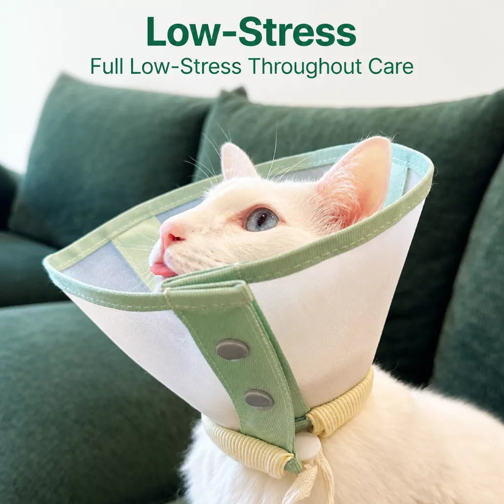 Lightweight Plastic Recovery Cone for Dogs and Cats