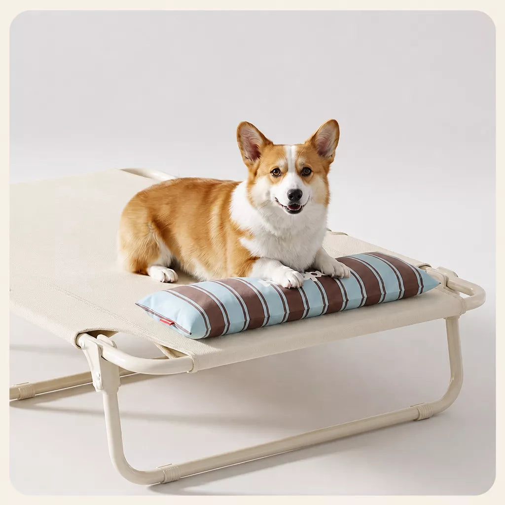 Elevated Waterproof Dog Bed