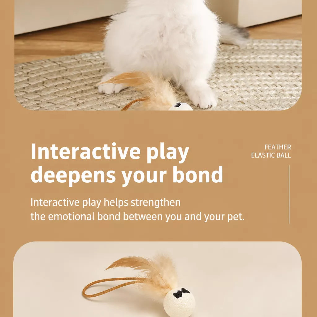 Cat Feather Ball Toy