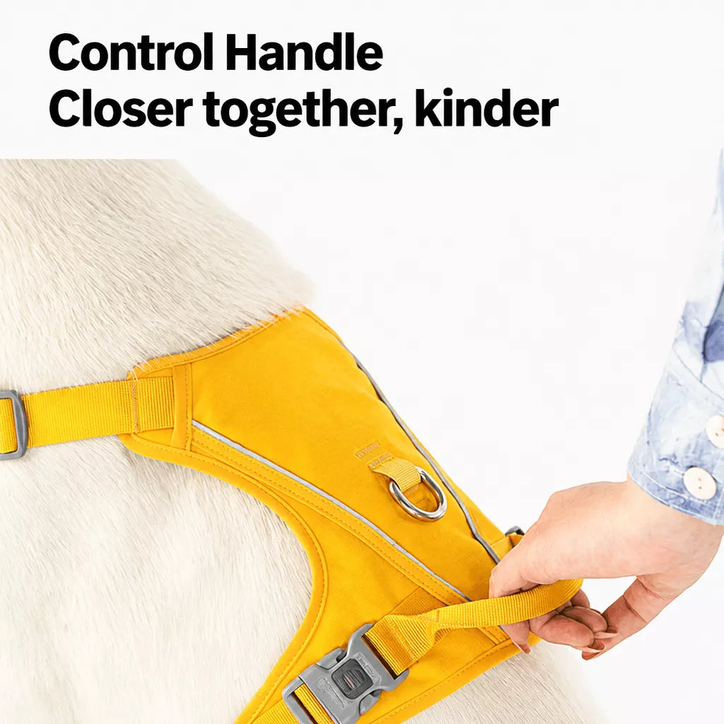 Lightweight Nylon Dog Harness and Leash Set