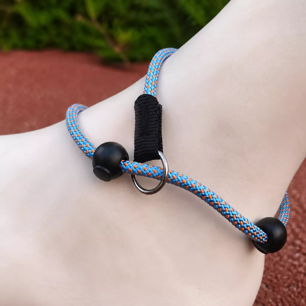 Nylon Rope-Style Dog Training Leash for Small and Medium Dogs