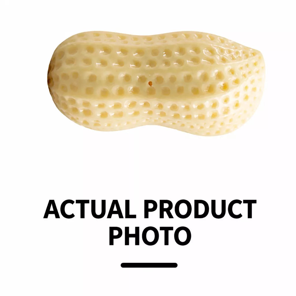 Peanut-Shaped Squeaky Dog Toy