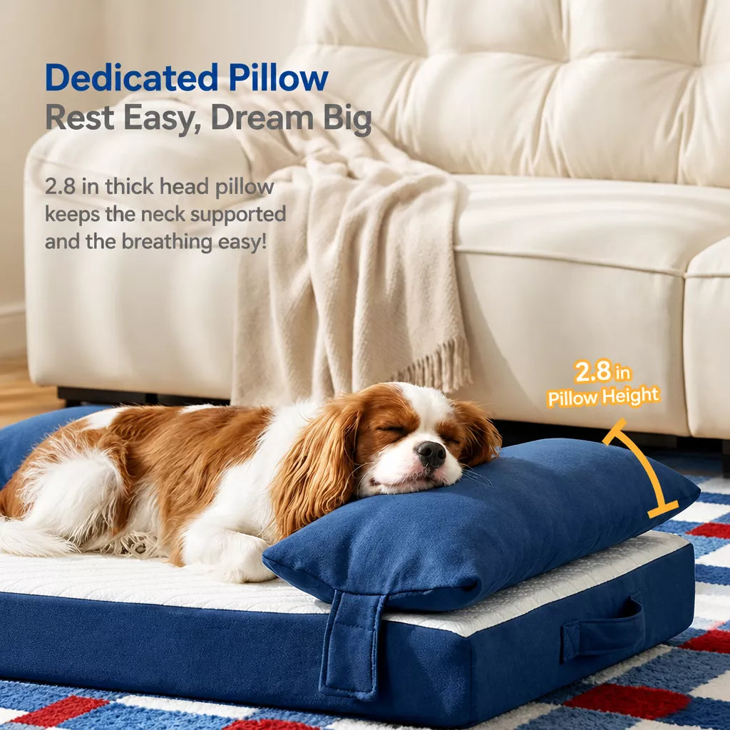 Memory Foam Pet Bed
