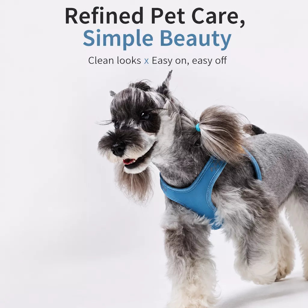 Adjustable Nylon Vest Harness for Small Dogs