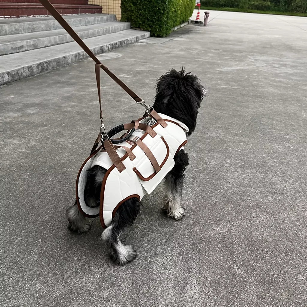 Nylon Pet Sling Carrier for Small Dogs and Cats