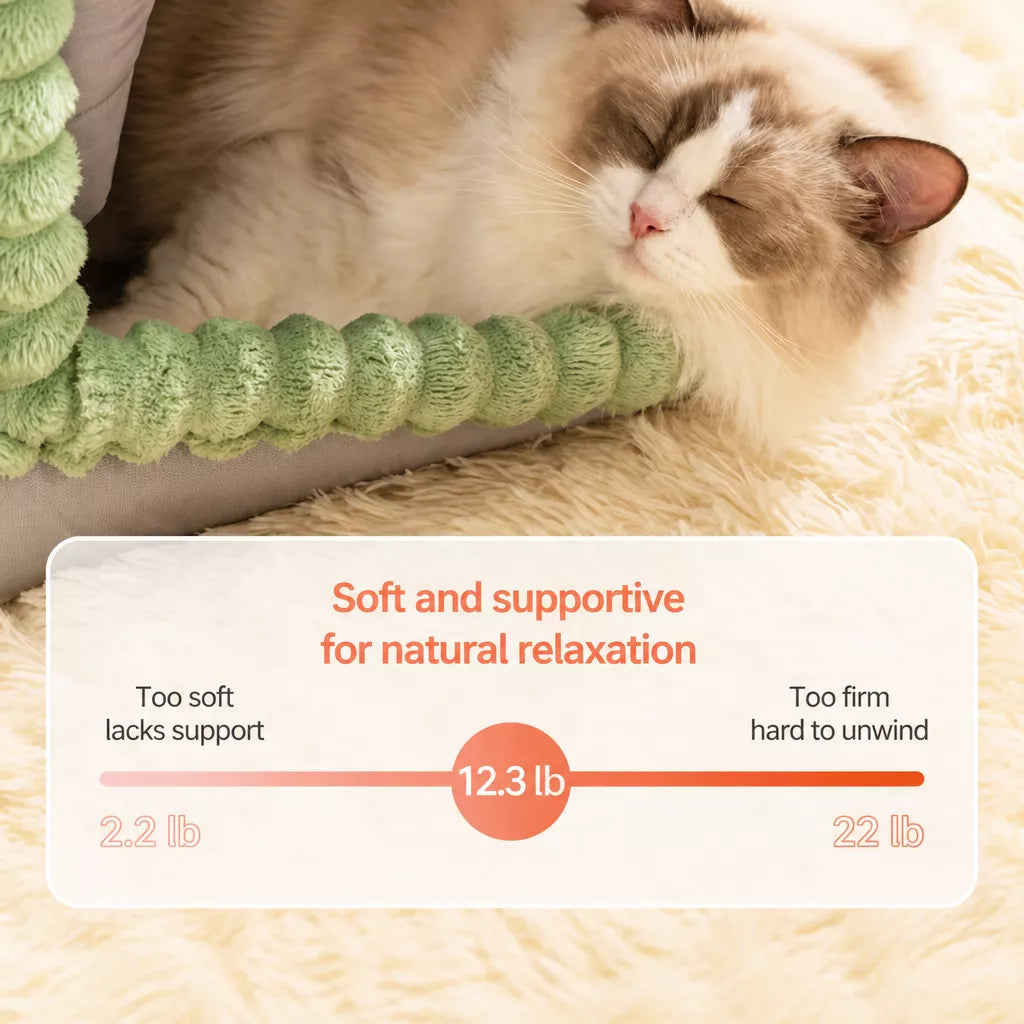 Enclosed Covered Pet Bed for Dogs and Cats