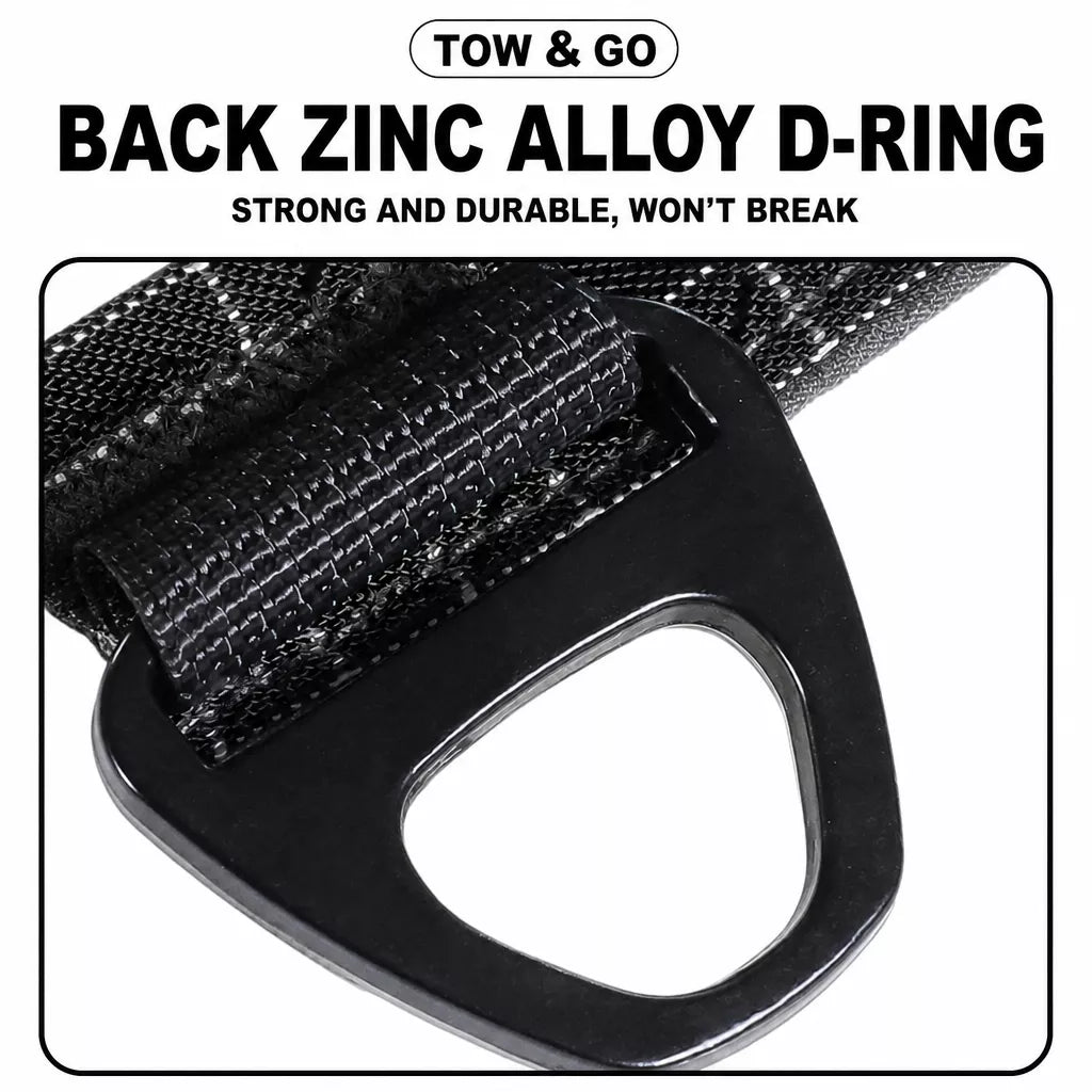Adjustable Nylon Vest-Style Dog Harness and Leash Set