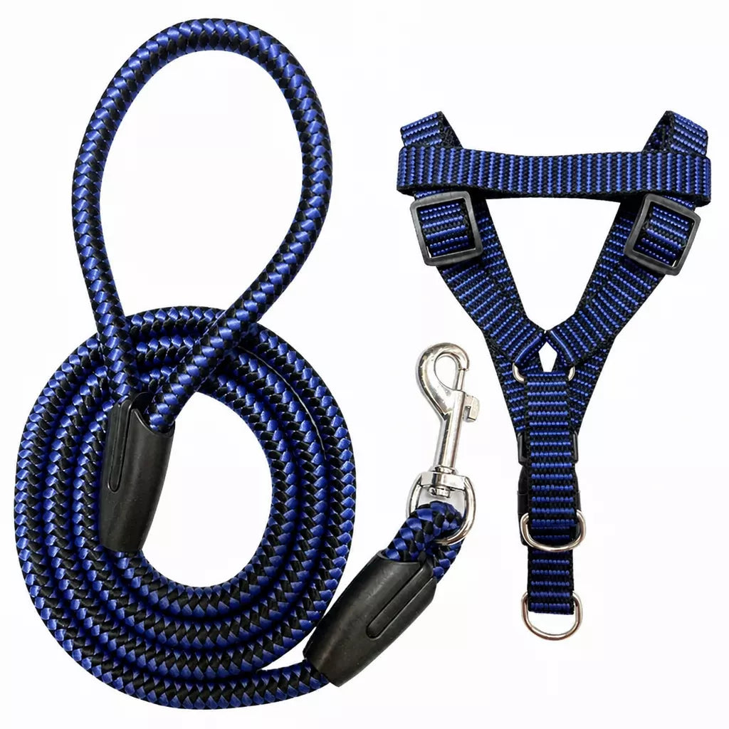 Adjustable Nylon Dog Harness and Leash Set