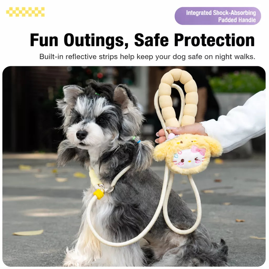 Nylon Slip Lead Dog Leash with Comfort Grip for Training