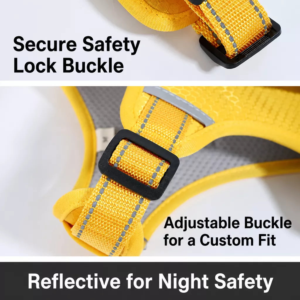 Dog Vest Harness and Leash for Everyday Walks