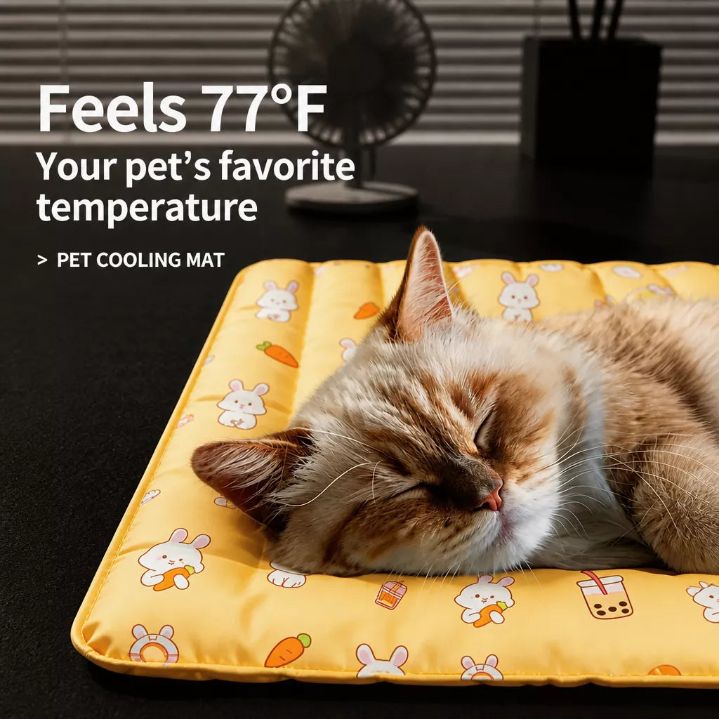Plastic Pet Bed Mat for Dogs and Cats