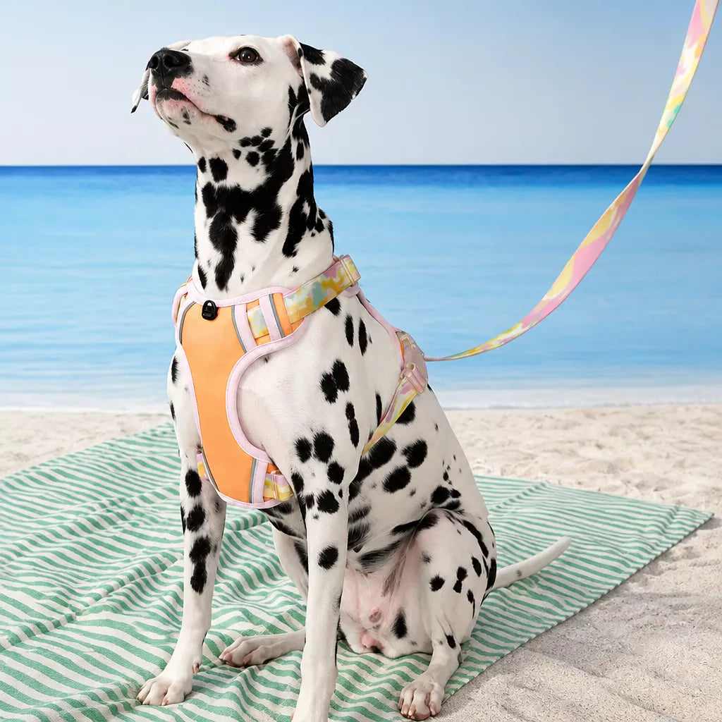 KUMFI Comfy Polyester Dog Harness