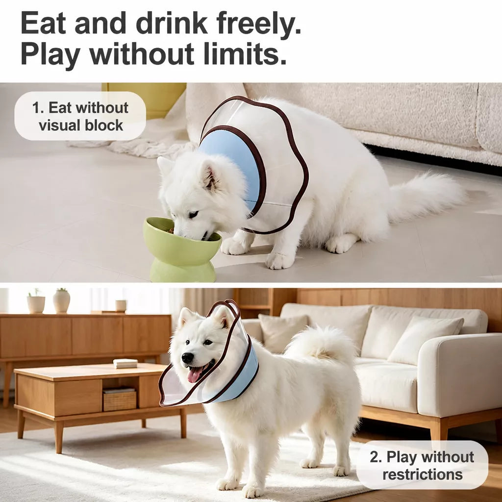 Plastic Recovery Cone for Dogs