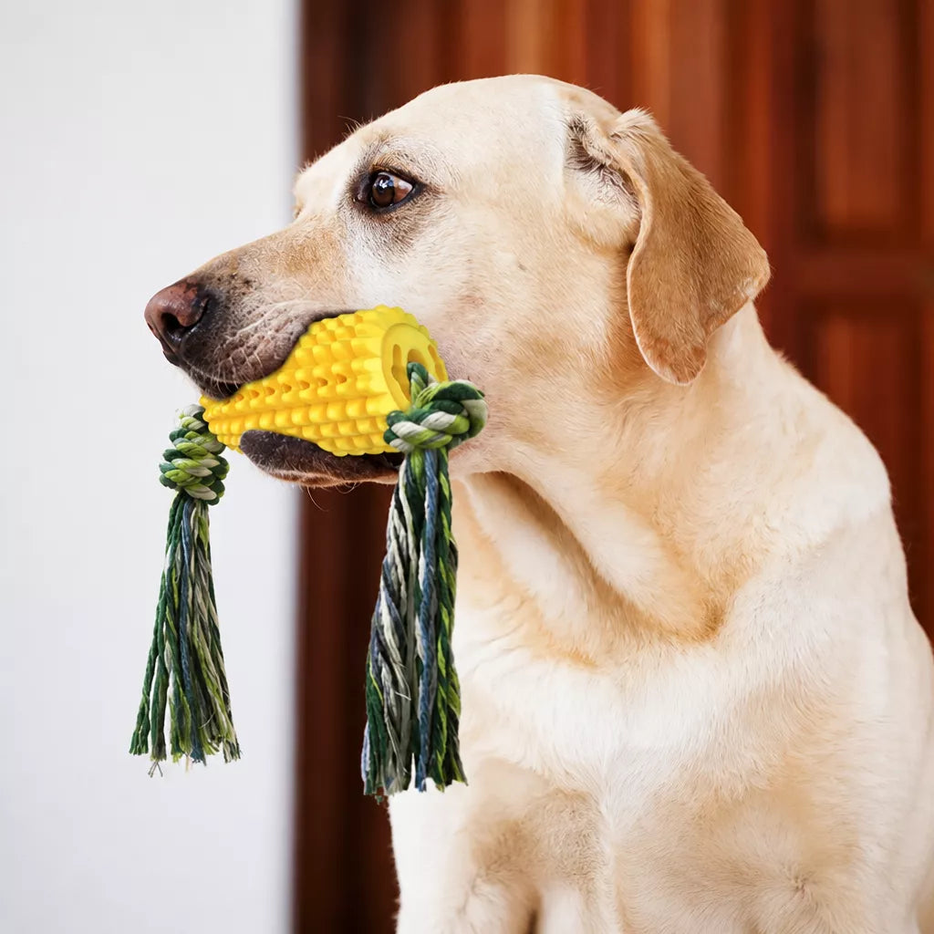 Corn-Shaped TPR Dog Chew Toy with Optional Squeaker