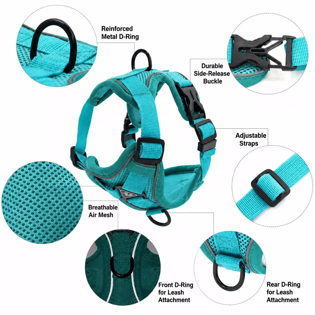 Cat Harness and Leash