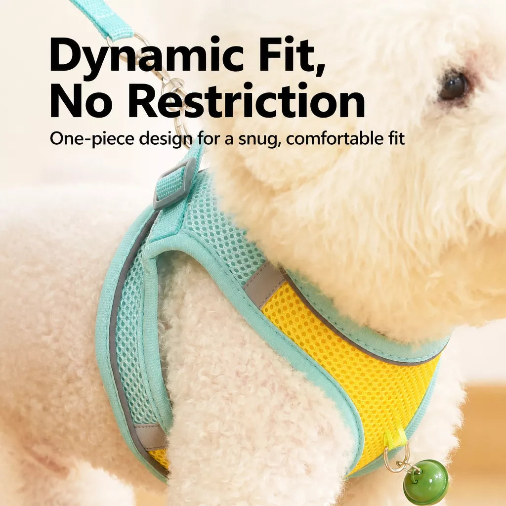 Nylon Vest Harness and Leash for Small Dogs