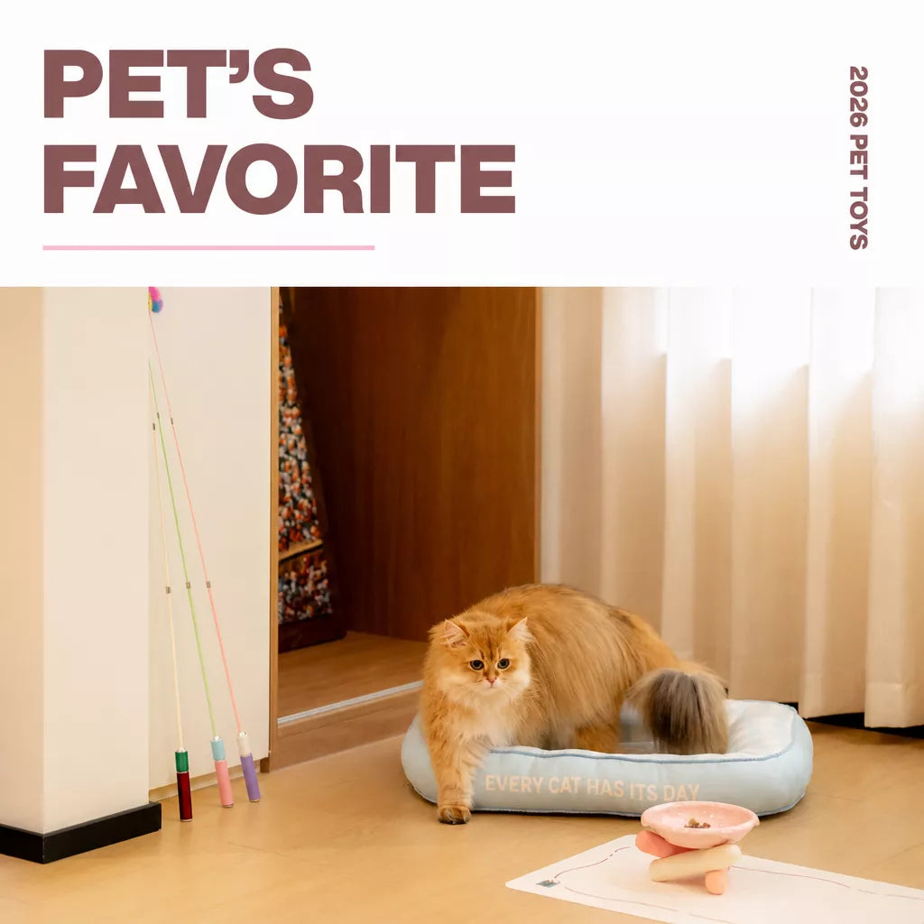 Retractable Cat Teaser Wand with Replaceable Attachments